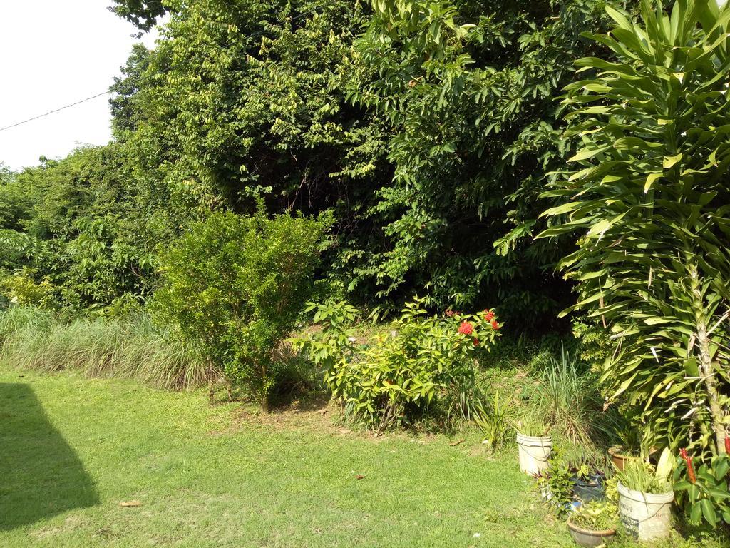 Nas Villaria Langkawi Pantai Cenang  Eksteriør billede